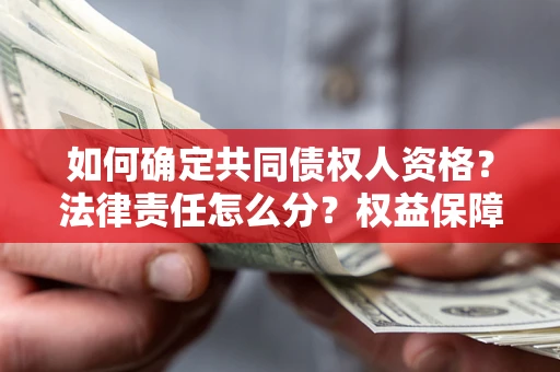 北京如何确定共同债权人资格？法律责任怎么分？权益保障技巧揭秘！