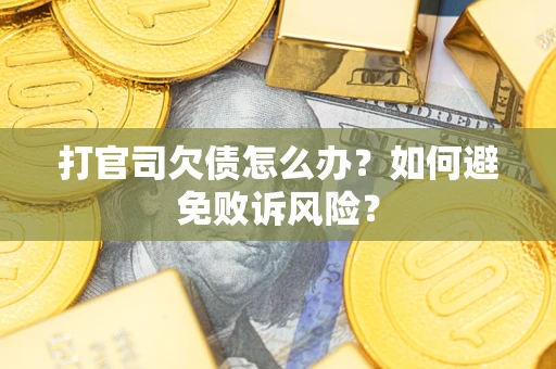 北京打官司欠债怎么办？如何避免败诉风险？